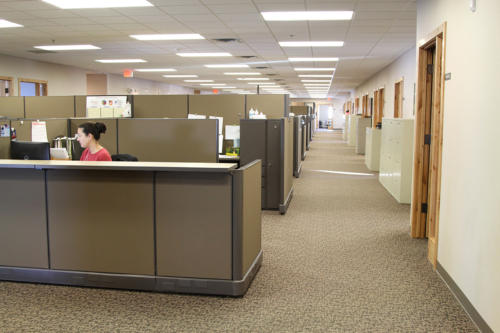 cubicles